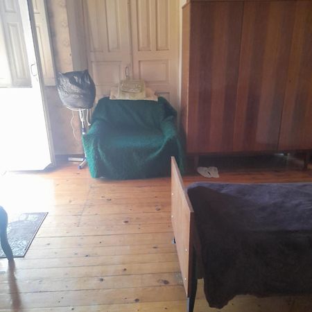 Levani'S Guesthouse 주그디디 외부 사진